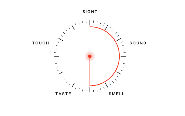 SuperSenses sensory dial: sight, sound, smell, taste, touch